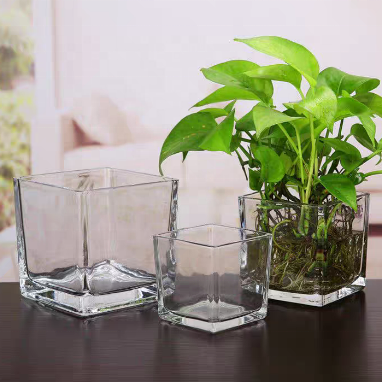 Cube Flower Vase Clear Square Candle Holders Small Glass Flower Container Plant for Home Decor
