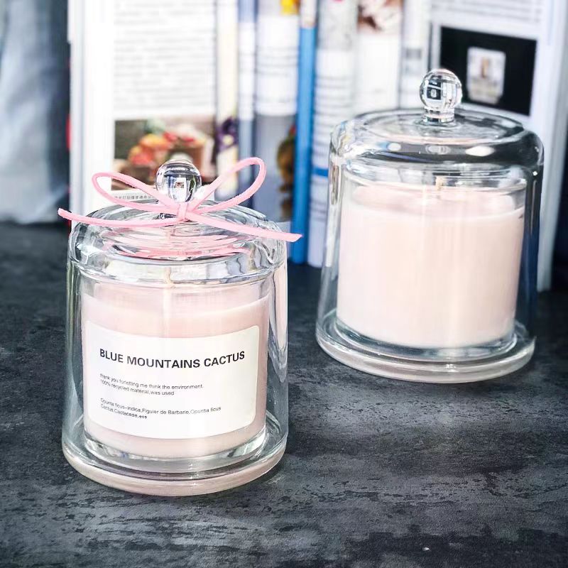 Custom Recyclable Luxury Empty Home Decoration Clear Dome Glass Scented Candle Jar Wholesale With Glass Bell Cover Dome