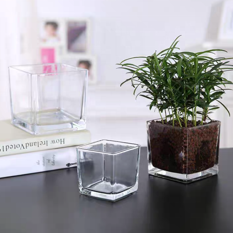 Cube Flower Vase Clear Square Candle Holders Small Glass Flower Container Plant for Home Decor