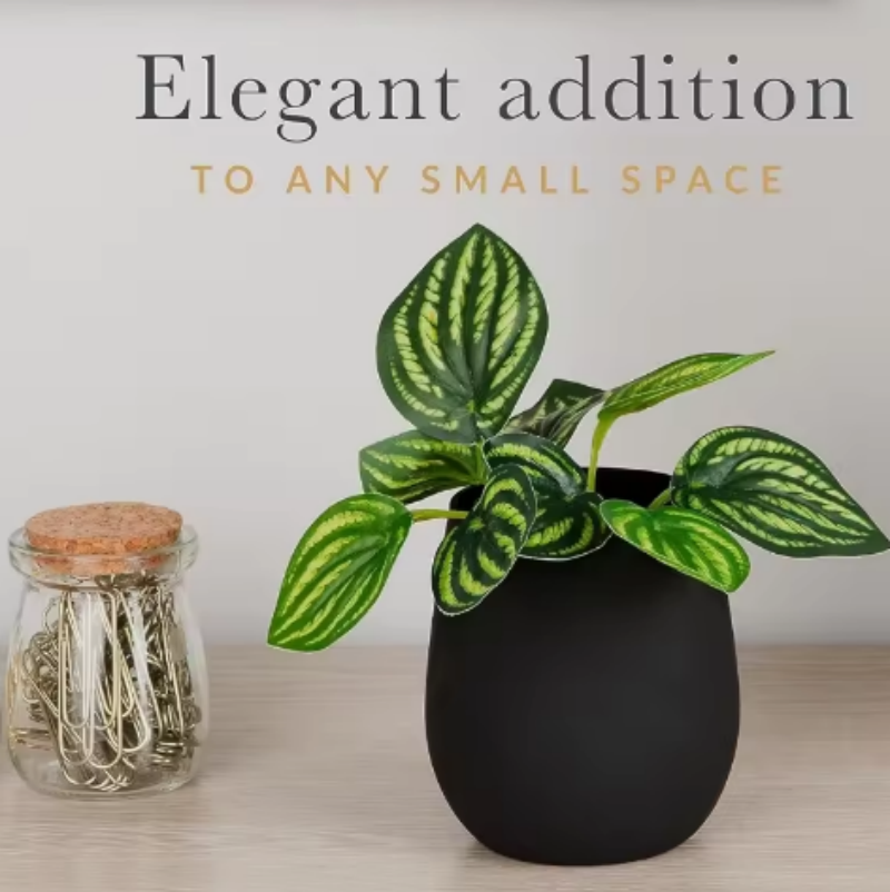 11oz Matte White Black Glass Jar With Bamboo Lids,Oval Empty Candle Containers Vessels Candle Jars for Making Candles