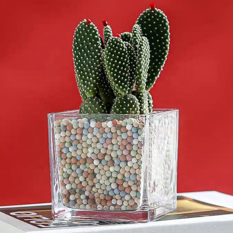 Cube Flower Vase Clear Square Candle Holders Small Glass Flower Container Plant for Home Decor