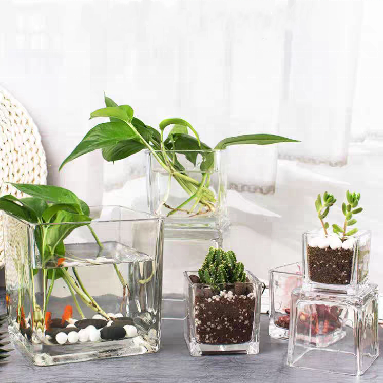 Home Decorative Square Glass Jar Clear Acrylic Glass Floor Square Flower Vase Wholesale