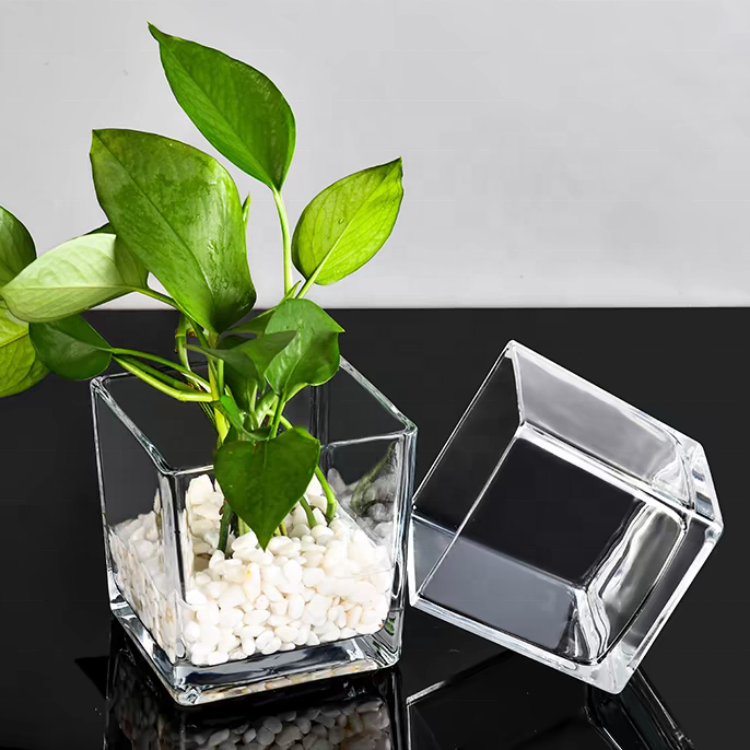 Custom Transparent Glass Square Shape Fish Tank Clear Glass Vase Simple Design Home Decoration Flower Square Clear Glass Vase
